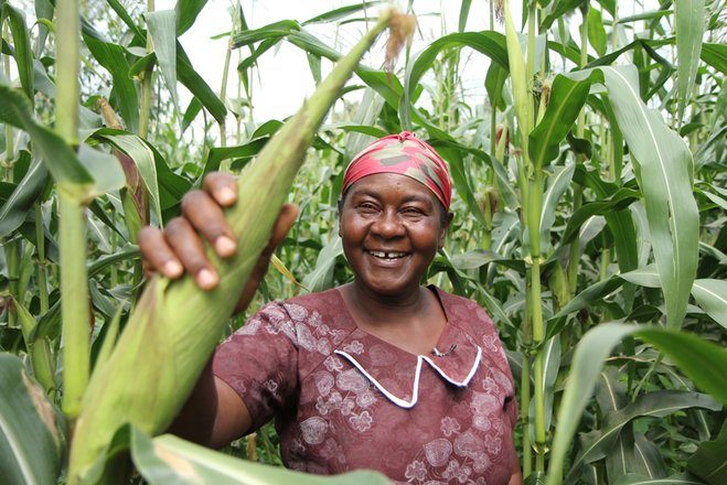 Cameroun : en 2024, ce sont les agriculteurs qui ont porté l’économie nationale