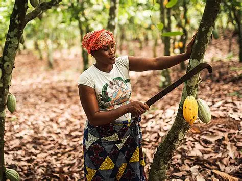 Cameroun: comment l’argent a pris la route du village