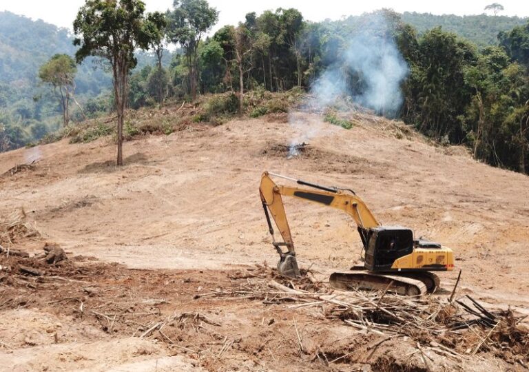 Cameroun : entre 2000 et 2020, la région du Nord a perdu 81% de ses forêts de plaine